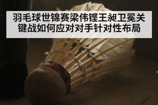 羽毛球世锦赛梁伟铿王昶卫冕关键战如何应对对手针对性布局