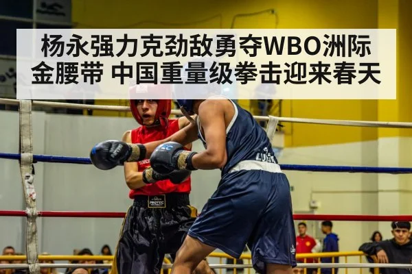 杨永强力克劲敌勇夺WBO洲际金腰带 中国重量级拳击迎来春天