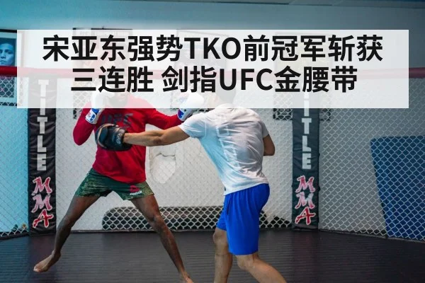 宋亚东强势TKO前冠军斩获三连胜 剑指UFC金腰带